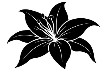 A Beautiful silhouette art vector design