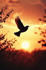 Fototapeta premium Bird Flying Through Sunset