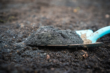 Close-up of biochar and rock dust on a gardening shovel, used to enhance soil quality / Concept: ...