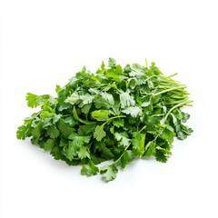 Obraz premium A handful of fresh cilantro leaves, isolated on a white background, emphasizing a flavorful herb