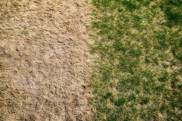 Dry and patchy lawn with brown and green grass textures showcasing signs of drought and lack of water.