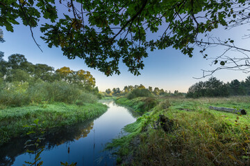 A river with a green forest in the background