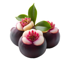 Vibrant mangosteen with flowers and leaves