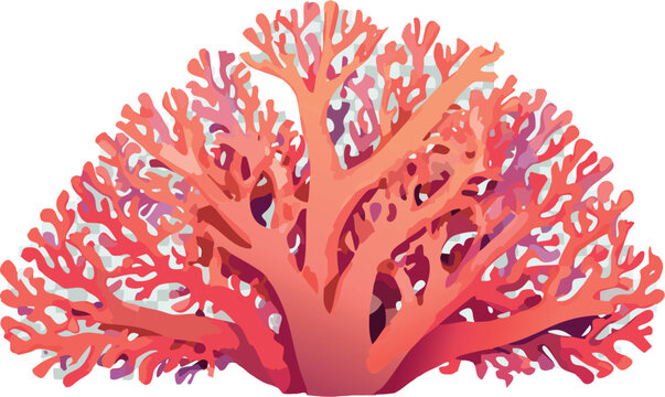 Coral vectorial para print