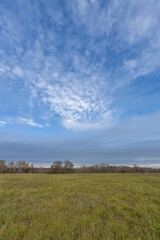 A field of grass with a clear blue sky above