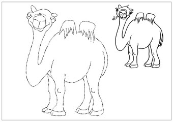 Camel, cartoon character, dotted outline pattern, preschool children development