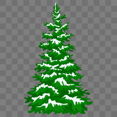 spring or winter woods, evergreen coniferous trees. Realistic green pine trees under snow.Forest, winter, travel.Eps 10