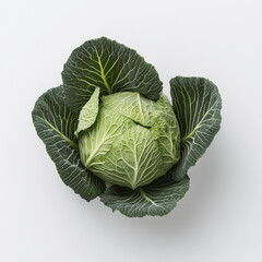 Fototapeta premium A single cabbage with green leaves, isolated on a white background, highlighting a versatile vegetable