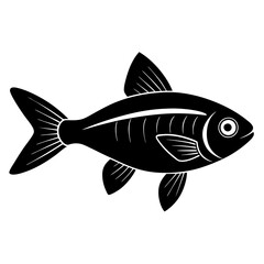 illustration of a fish