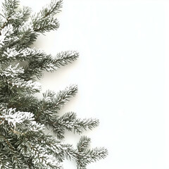 christmas tree branches