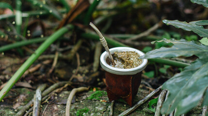 Mate en la hierba, mate de porongo con yerba mate. Bebida caliente al aire libre © Daniel