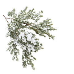 branches with snow