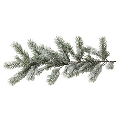 christmas tree branch