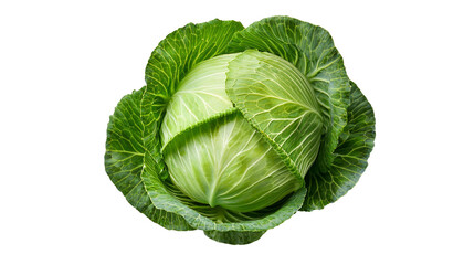 Fototapeta premium Fresh green cabbage isolated on transparent background