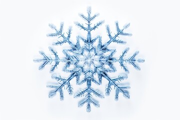 Snowflake white white background celebration.