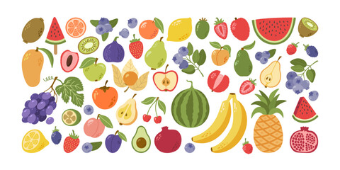 Summer tropical, exotic and garden fruits and berries with leaves collection. Hand drawn vector cartoon.