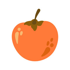 Single juicy persimmon autumnal fruit. Hand drawn cartoon illustration.