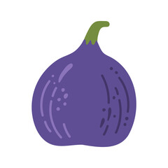 Single juicy violet figs. Hand drawn cartoon autumnal berry fruit illustration