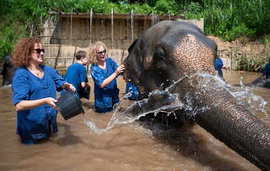 Tourist woman splashing water on an elephant during bathing ritual in Chiang Mai sanctuary, in...