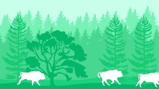 Beautiful landscape with bison, galloping in the forest (animation, seamless loop)