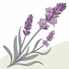 background with flowers