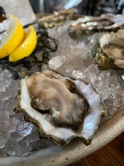 oysters with lemon
