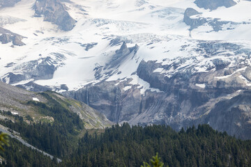 Obraz premium View of the Mountain at Mt. Rainier National Park
