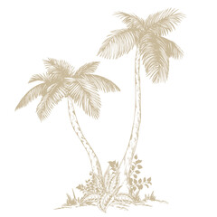 Tropical palm trees clipart. Hand drawn tropical illustration. Botanical sketch composition.
