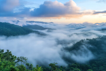 Naklejka premium Fog Blankets the Mountains at Dawn, Creating a Serene Landscape in the Early Morning Light