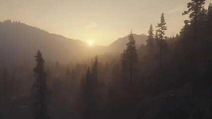 Obraz premium A misty sunrise casts a golden glow over a dense forest, with tall pine trees silhouetted against the distant mountains.