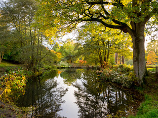 Wakehurst Gardens in autumn