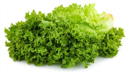 Fototapeta premium This vibrant iceberg lettuce displays its crisp, layered green leaves, perfect for salads, wraps, or garnishes. Its fresh appearance enhances any dish it complements