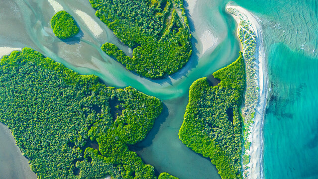 Overhead view of the beautiful El Soldado estuary in San Carlos Sonora, Mexico. The blue-green tones create a unique paradisiacal scenery where sand, mangrove, salt and fresh water come together.