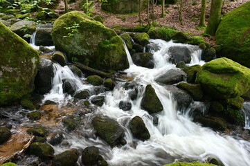 Gertelbachfaelle im Schwarzwald