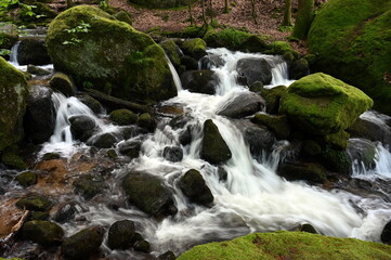 Gertelbachfaelle im Schwarzwald