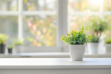 Fototapeta premium White kitchen desk with green plant spring background.