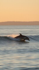Obraz premium majestic dolphin leaping golden sunset at the sea