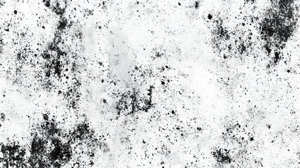 Fototapeta premium Grunge Texture Background