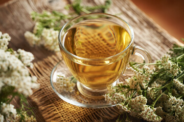 Herbal tea in a glass cup with yarrow or Achillea millefolium flowers