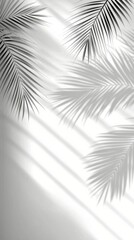Soft shadows of palm leaves create a serene atmosphere in a sunlit indoor space