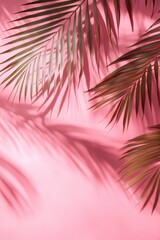 Pink background with a palm tree in the foreground. The palm tree casts a shadow on the pink background, creating a beautiful and serene atmosphere