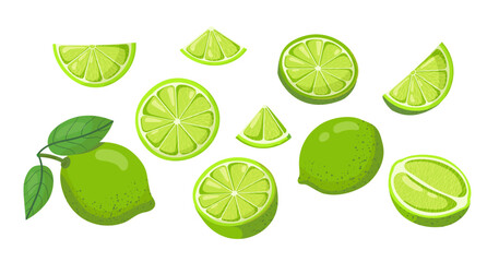 Lime fruit whole, half, slice. Set of fresh limes.