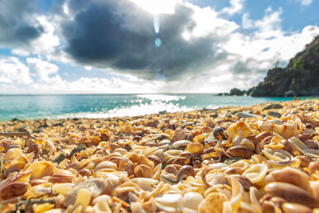 Peaceful beach in Saint Barthelemy (St. Barts, St. Barth) Caribbean