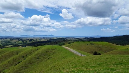 Fototapeta premium Green meadow on New Zealand's North Island. You can see a road and the sea in the background.