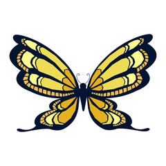 羽を広げて飛ぶ蝶