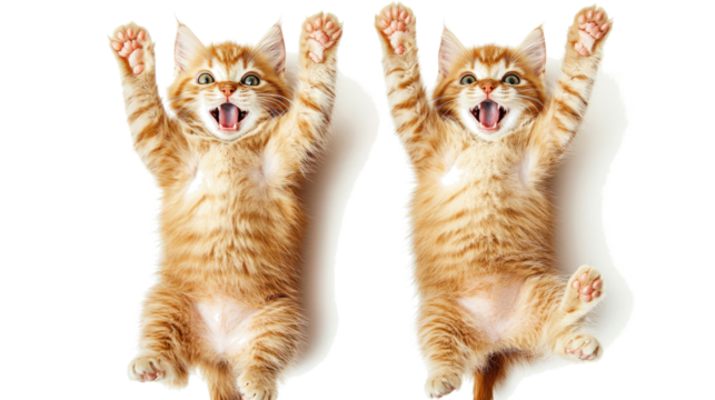 Funny Cats Jumping With Excitement Showcasing Playful Antics Indoors Generative AI