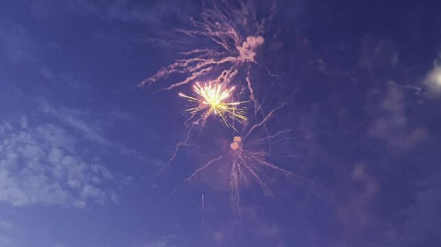 Beautiful colorful fireworks on dark night sky