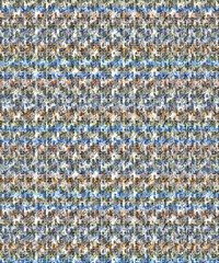 Seamless Pattern Illustrations for Designing  in Unique and vibrant digital textile designs, crafted to bring elegance and sophistication to any fabric. Perfect for fashion, home decor
