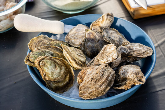 Oysters in the shell and oyster knife 