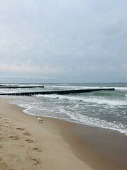 cloudy grey seascape, waved sea horizon, windy at the sea, empty beach